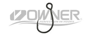single h.OWNER for casting