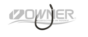 single h.OWNER